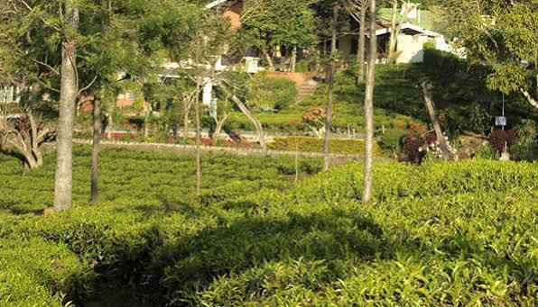 Teanest By Nature Resorts And Stays Coonoor Esterno foto